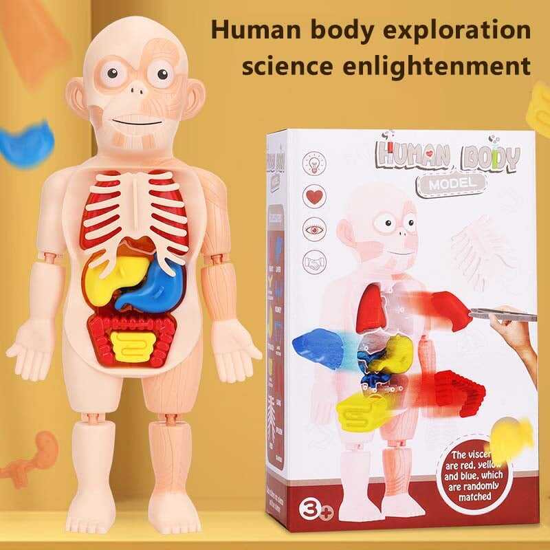 🔥Last day 55% OFF - 🔥Children's Enlightenment Toys