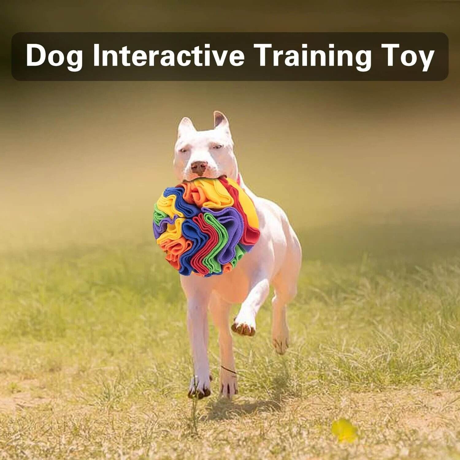 Foldable Dog Snuff Ball Dog Training Toy--Improve Pet IQ