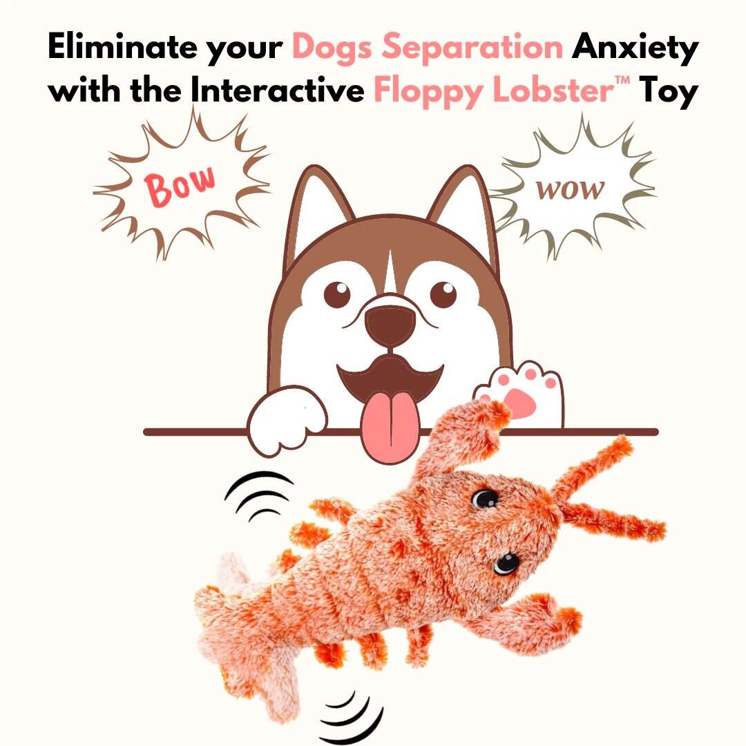 Last Day 70% OFF🔥Floppy Lobster Interactive Dog Toy