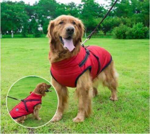 🔥Waterproof Winter Dog Jacket with Built-in Harness