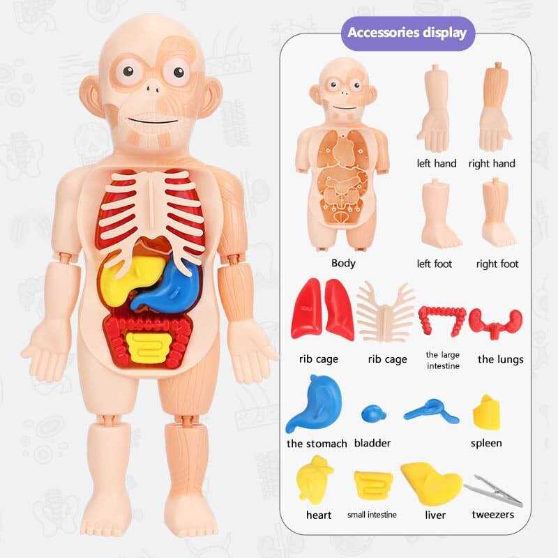 🔥Last day 55% OFF - 🔥Children's Enlightenment Toys