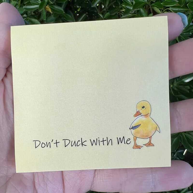 🤣Funny Duck Sticky Notes🎁