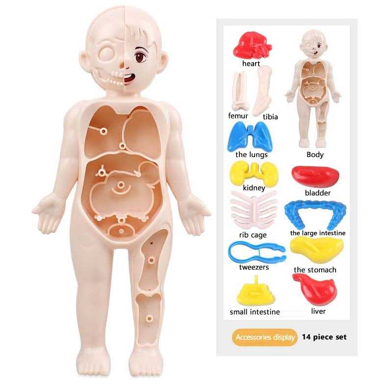 🔥Last day 55% OFF - 🔥Children's Enlightenment Toys