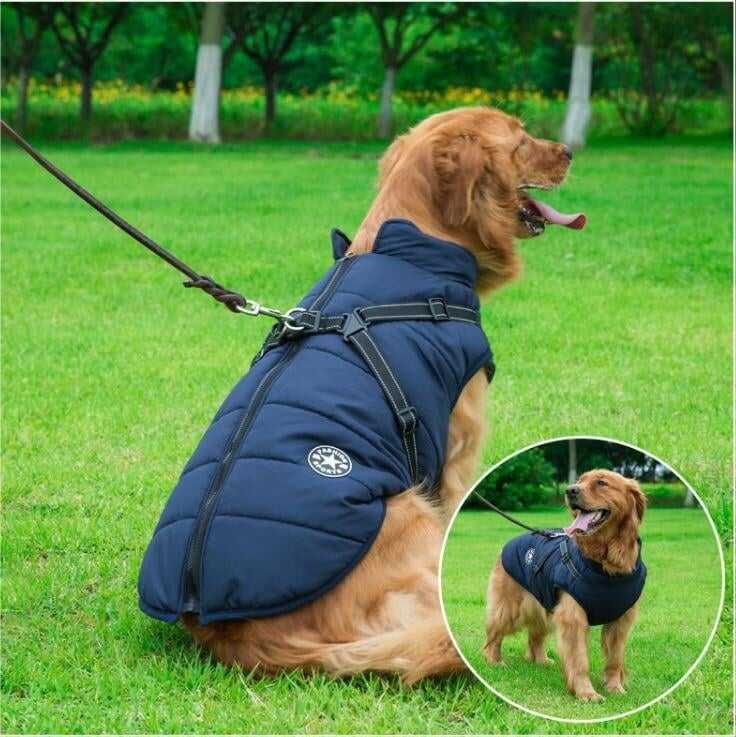 🔥Waterproof Winter Dog Jacket with Built-in Harness