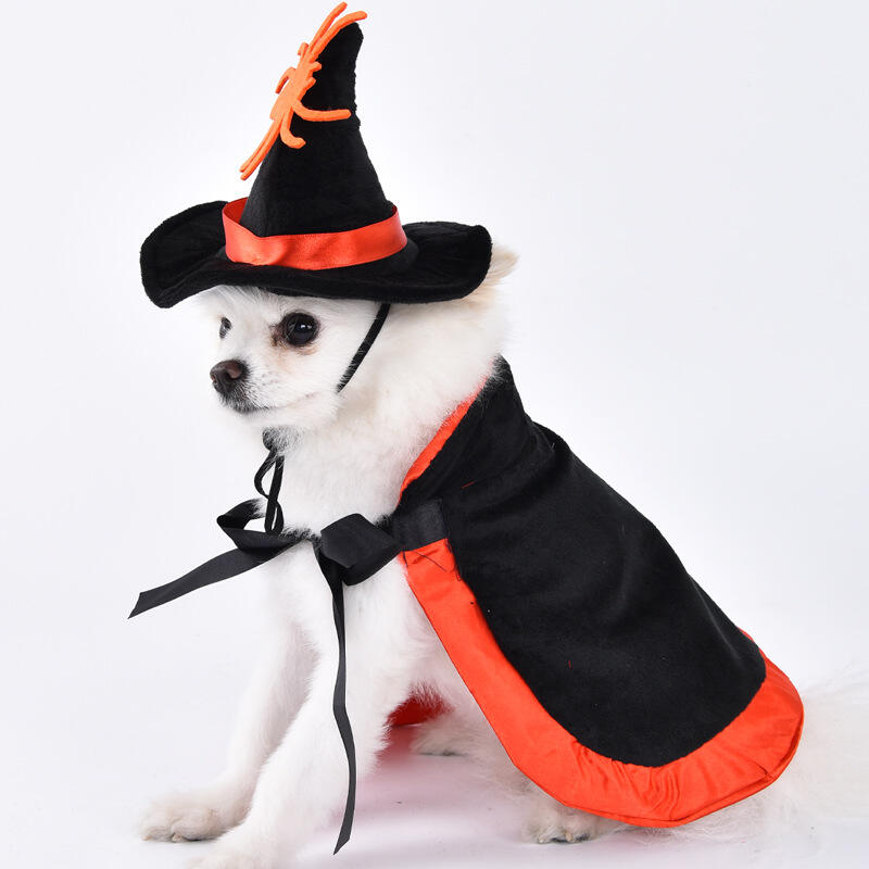 🐾🎃Pet Halloween costume