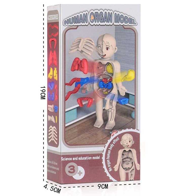 🔥Last day 55% OFF - 🔥Children's Enlightenment Toys