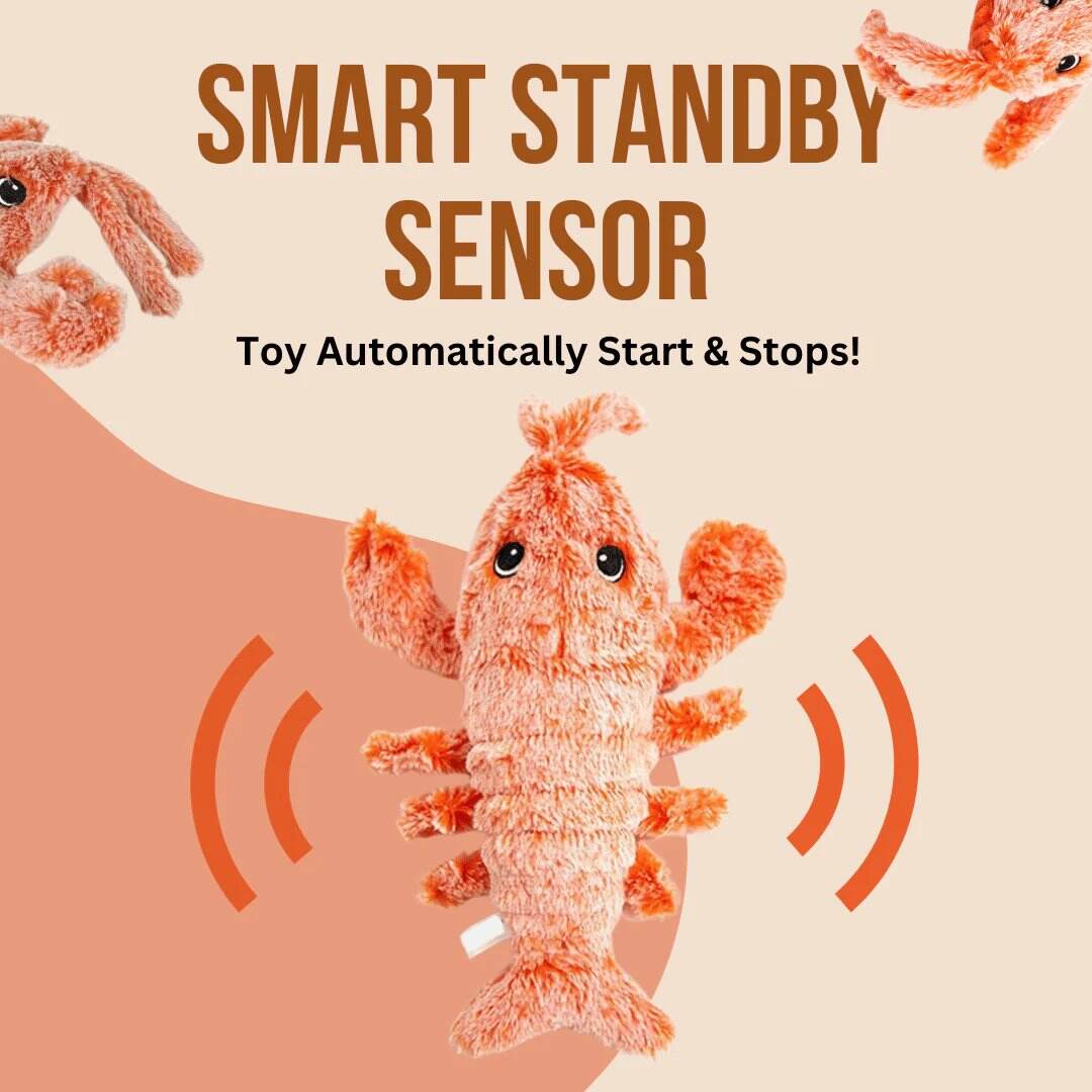 Last Day 70% OFF🔥Floppy Lobster Interactive Dog Toy