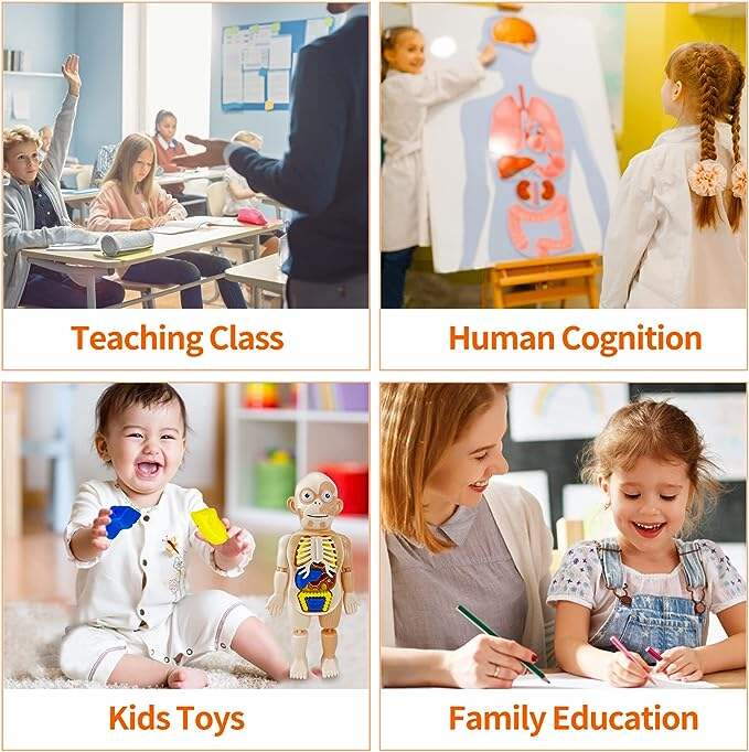 🔥Last day 55% OFF - 🔥Children's Enlightenment Toys