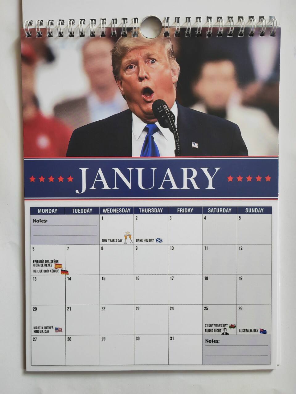 🔥New Year's Pre-Sale 60% OFF🗓️Trumpinator Wall Calendar