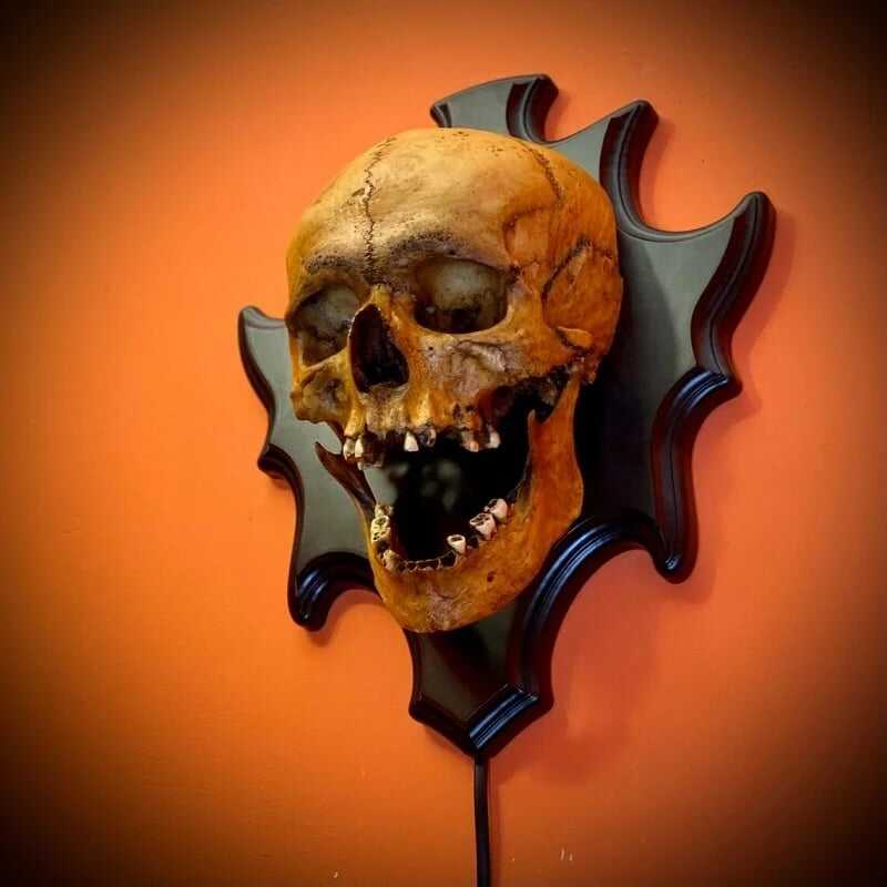 💥💀Skull lamp“Singing head”night light