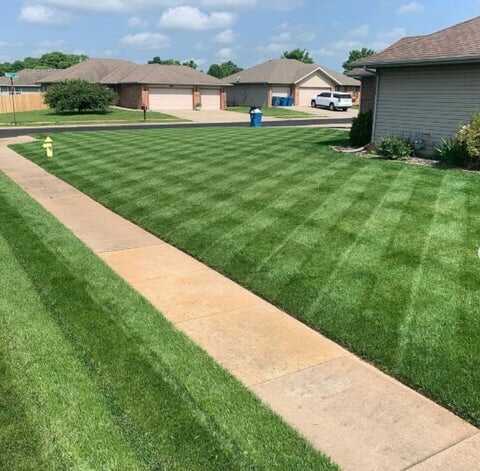 🌱Green Lawn Seeding Liquid