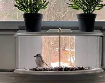 Window Bird Feeder-180° Clear View