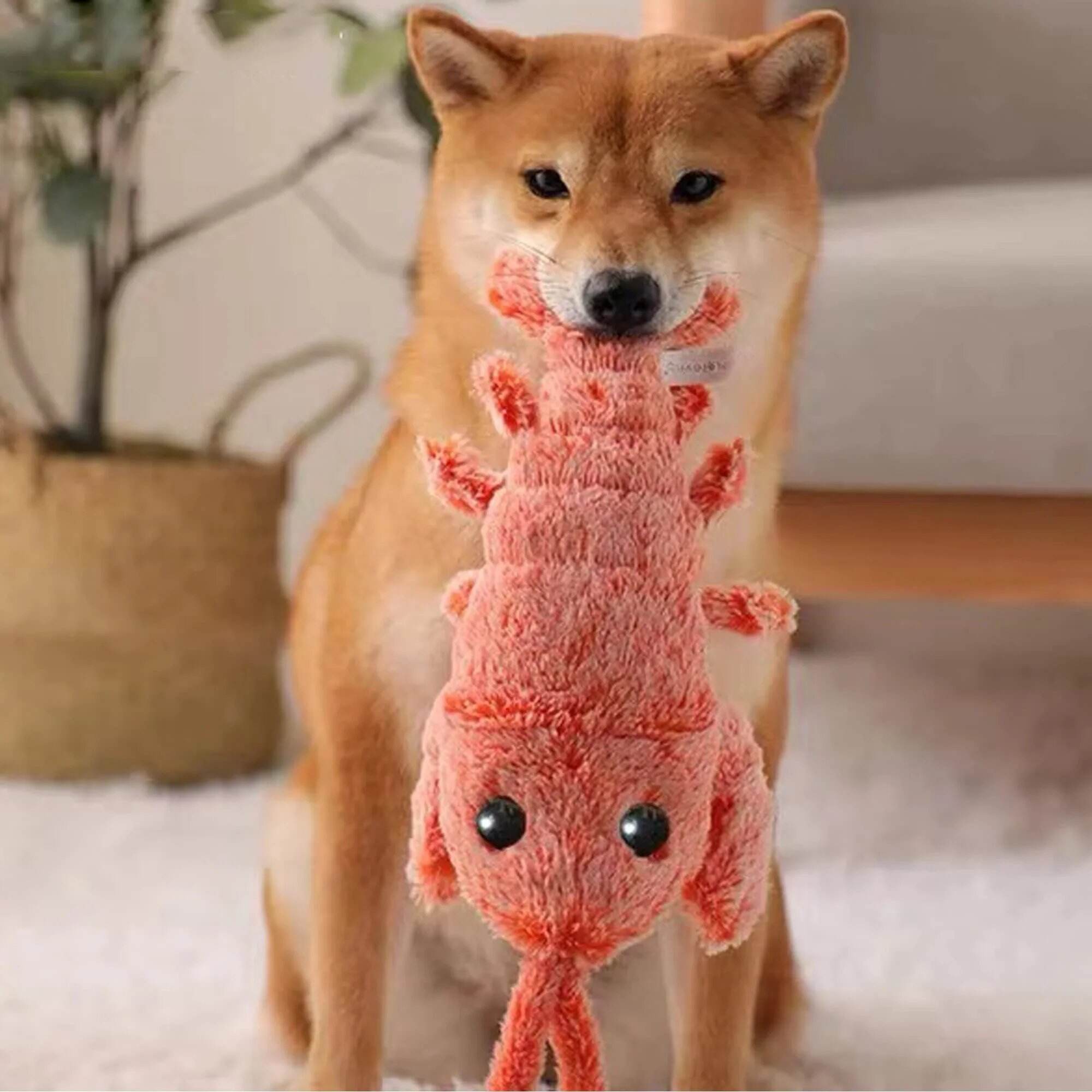 Last Day 70% OFF🔥Floppy Lobster Interactive Dog Toy