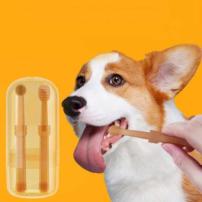 💥 Pet Toothbrush with Tongue Scraper