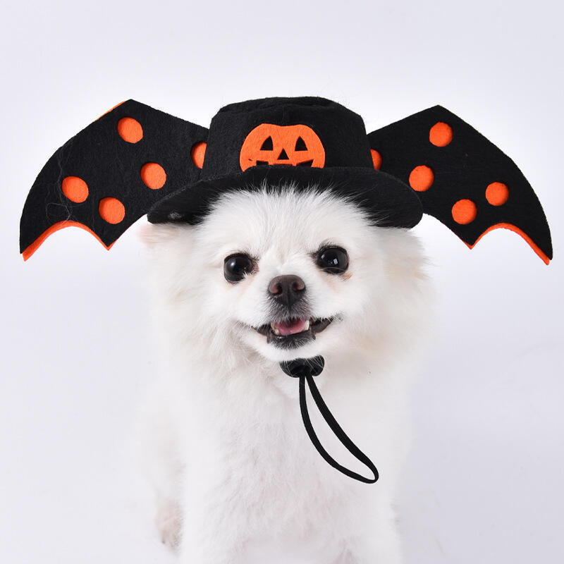 🐾🎃Pet Halloween costume