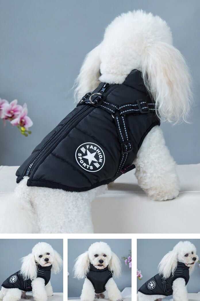 🔥Waterproof Winter Dog Jacket with Built-in Harness